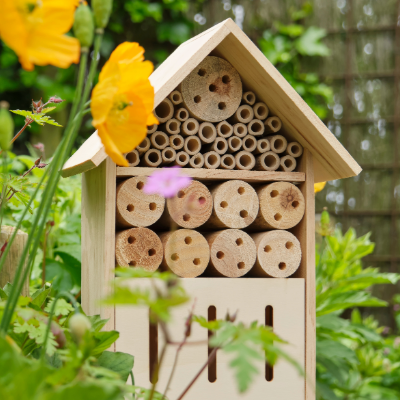 Bee & Insect Care
