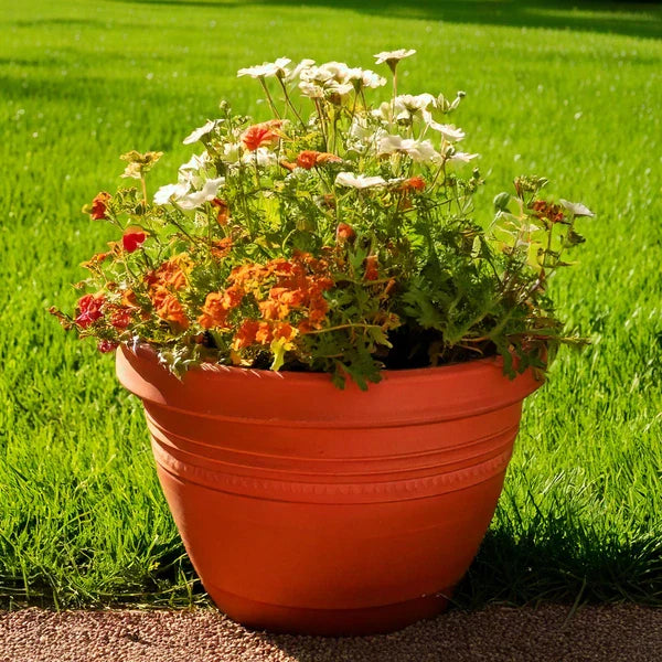 Pots, Tubs & Planters
