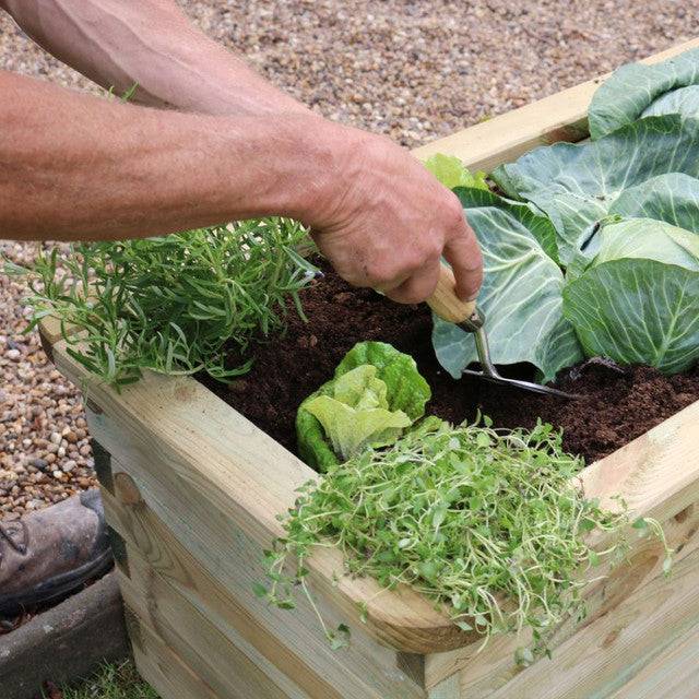 Zest Sleeper Raised Veg Bed | Narrow Raised Bed