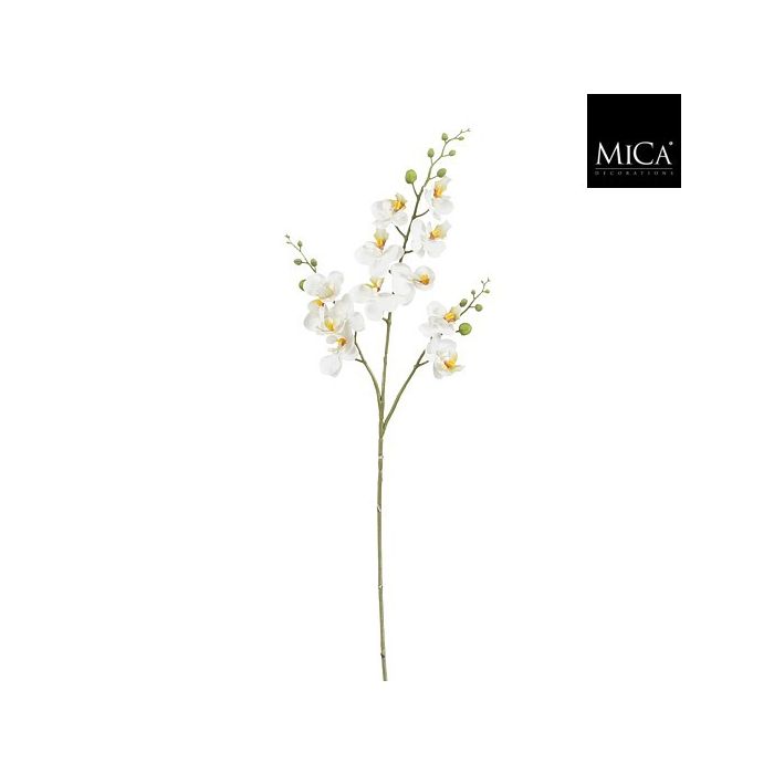 Mica Artificial Phalaenopsis Stem White 75cm