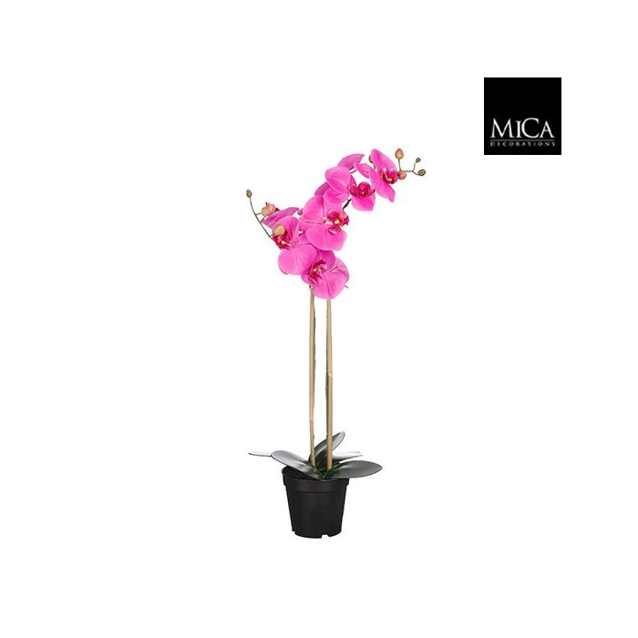 Mica Artificial Potted Phalaenopsis 'Moth Orchid' Purple 70cm