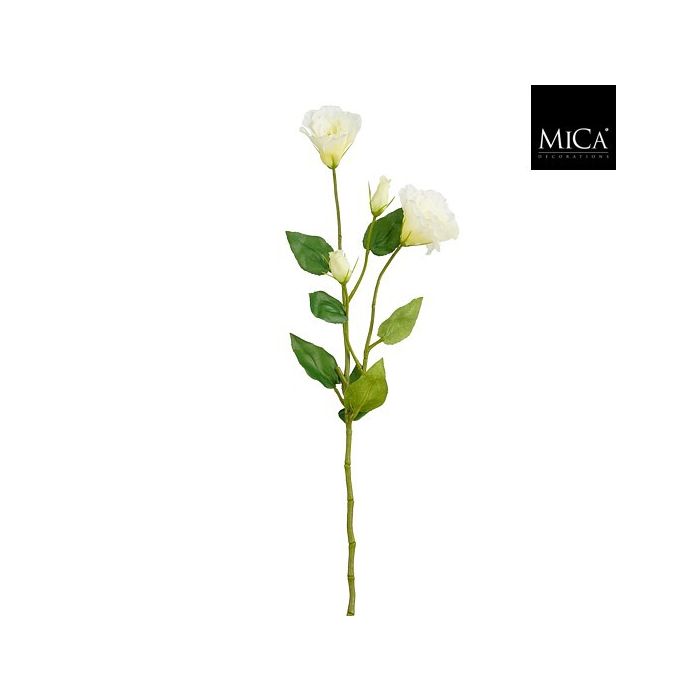 Mica Lisianthus Stem Cream 72cm
