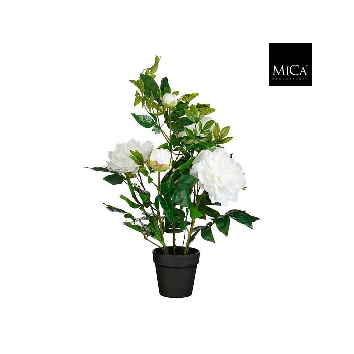 Mica Artificial Peony In Pot White 73cm
