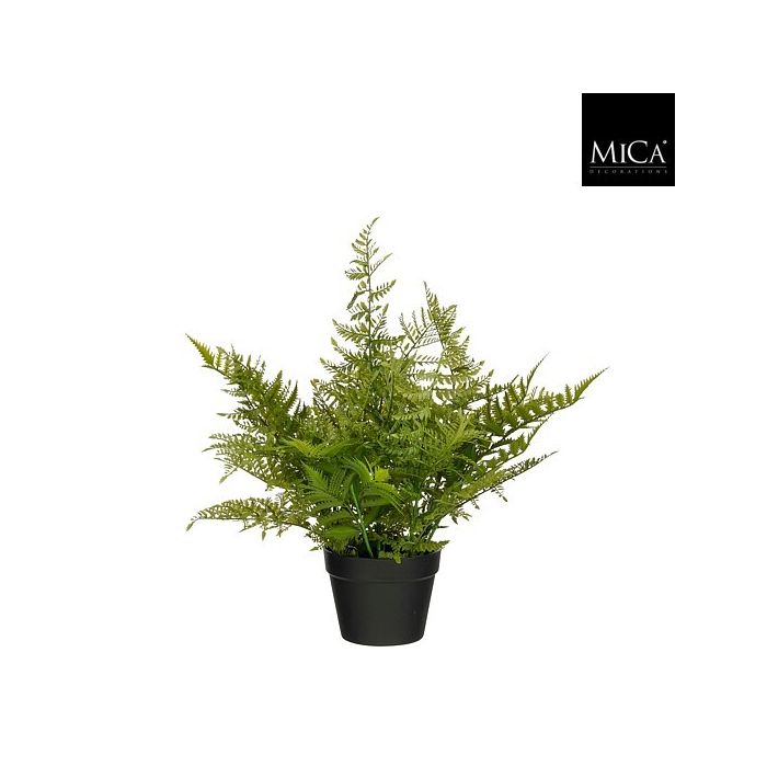 Mica Faux Fern In Pot Green 60 x 65cm