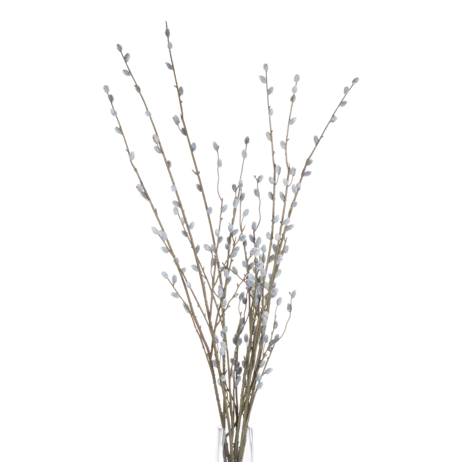 Hill Interiors Pussy Willow Branch