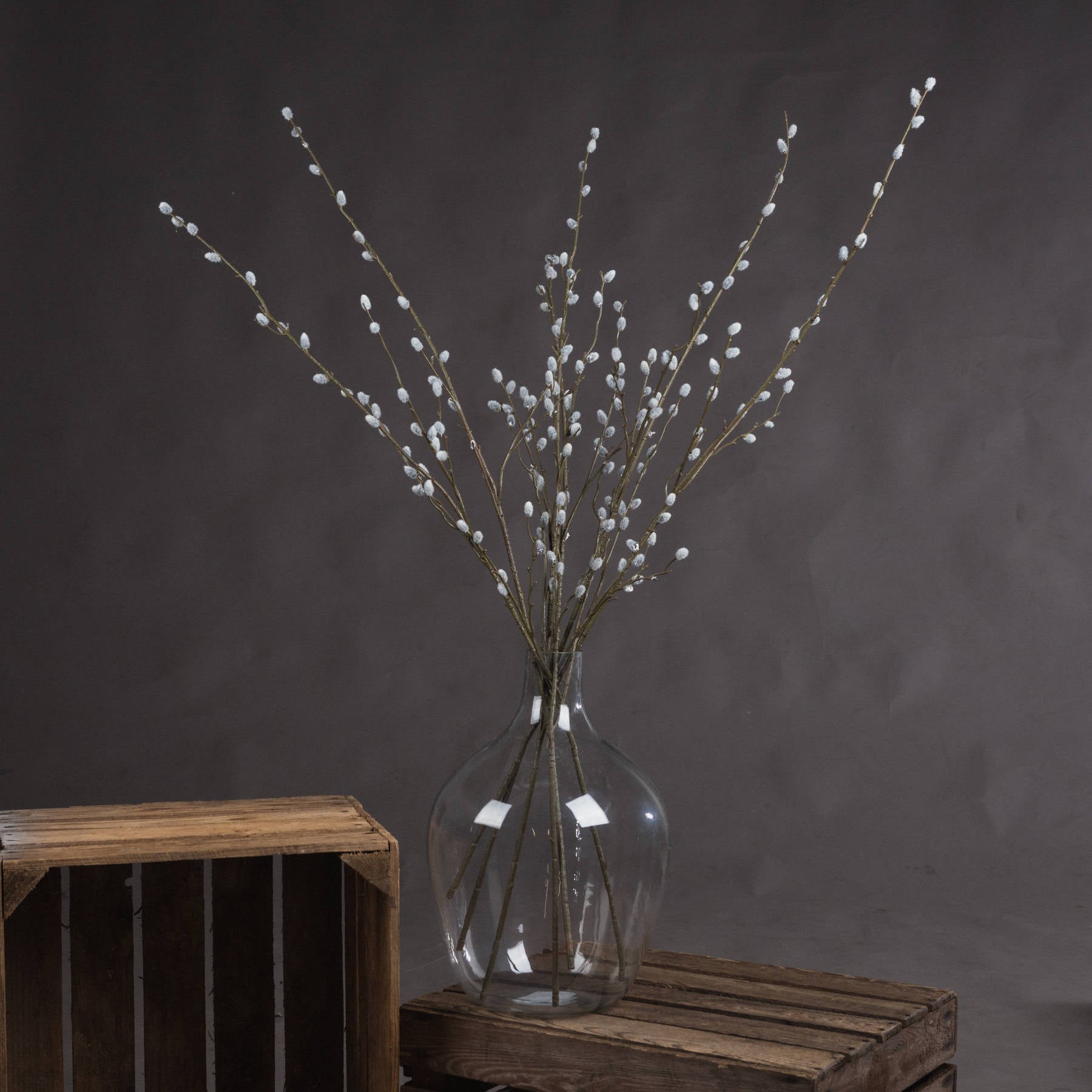 Hill Interiors Pussy Willow Branch