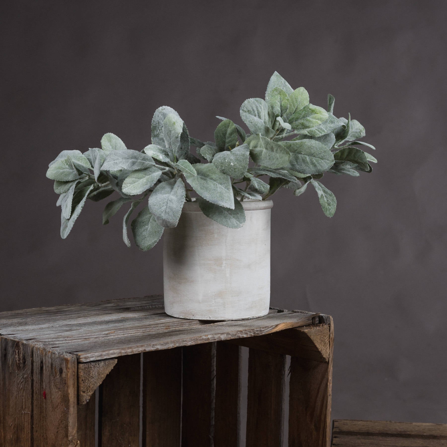 Hill Interiors Lambs Ear Spray