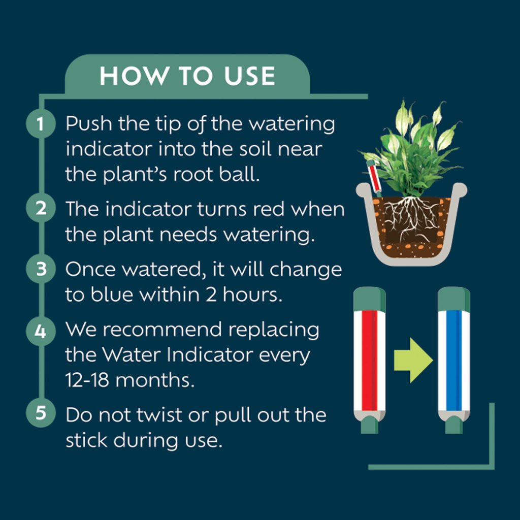 Westland Houseplant Watering Indicator