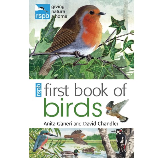 RSPB First Book Of Birds Book
