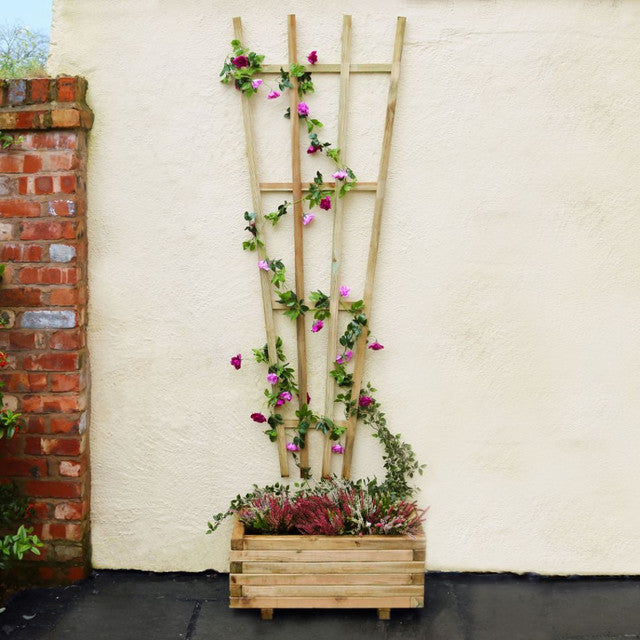 Zest 4 Leisure Fan Trellis