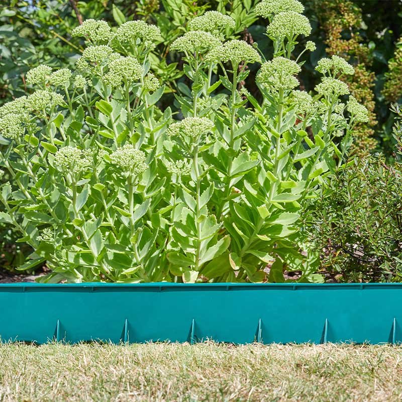 Smart Garden FlexEdge, Green, 115cm x 15cm