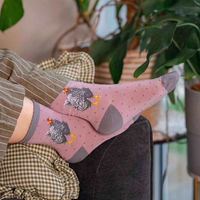 Wrendale Designs 'Curious Hen' Chicken Socks