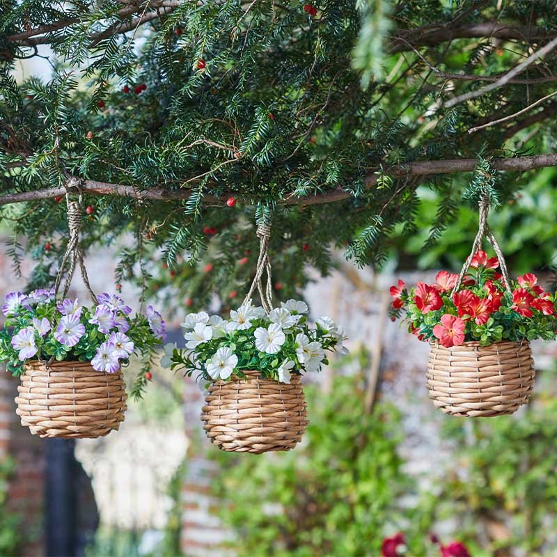 Smart Garden Basket Bouquet - Blossom Single