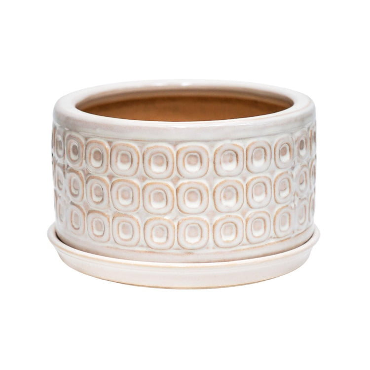 Ivyline Bonsai Planter Cream White