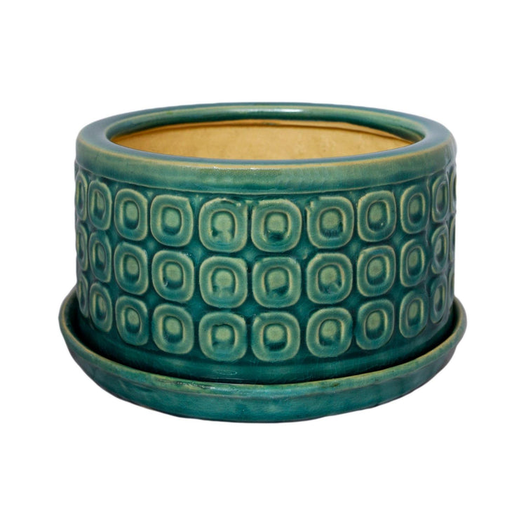 Ivyline Bonsai Planter Teal