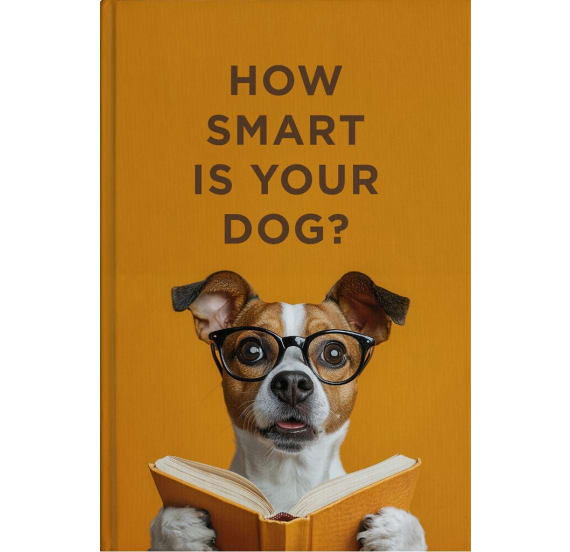 How Smart is My Dog Book