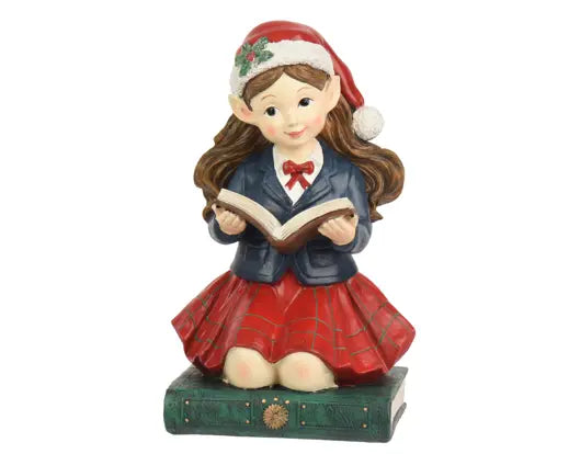 Decoris Elf on Green Book 23cm x 17.5cm x 36.3cm