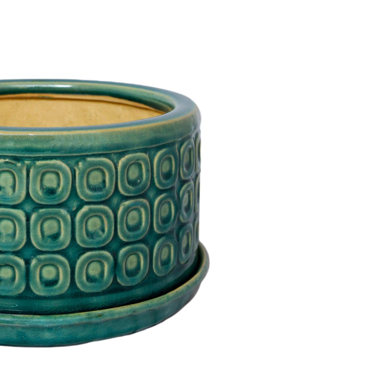 Ivyline Bonsai Planter Teal