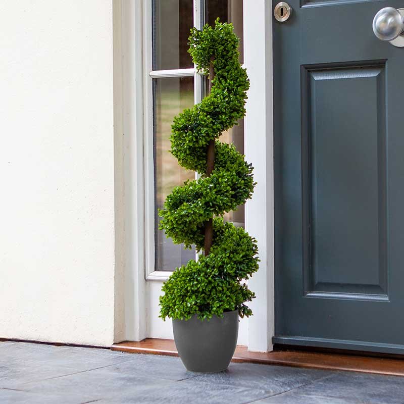 Smart Garden Topiary Twirl
