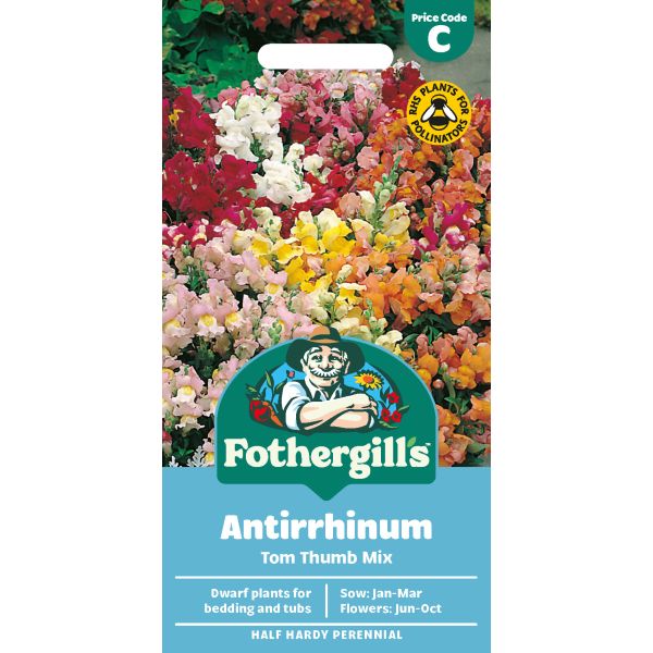 Mr Fothergills Antirrhinum Tom Thumb Mix