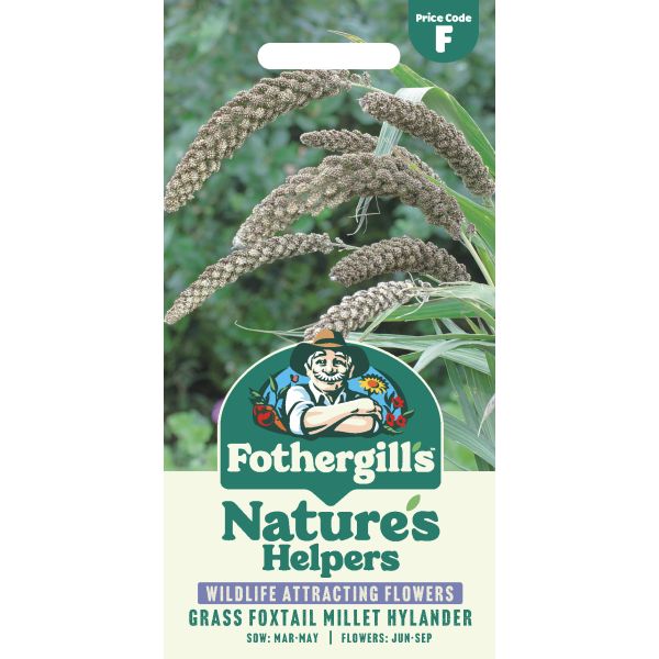 Mr Fothergills NH-Grass Foxtail Millet (Setaria) Hylander