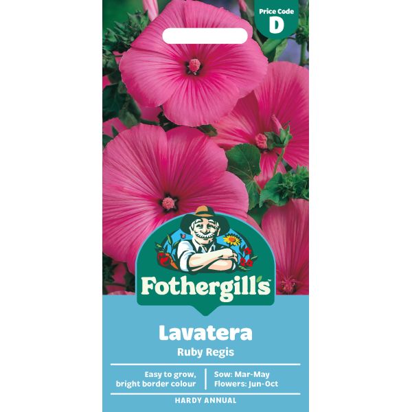 Mr Fothergills Lavatera Ruby Regis