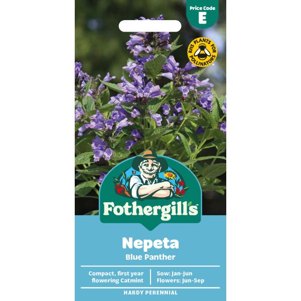 Mr Fothergills Nepeta Blue Panther