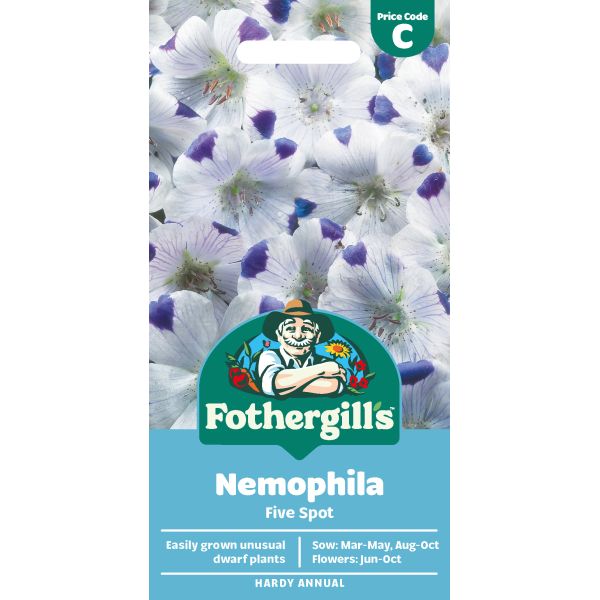Mr Fothergills Nemophila Five Spot