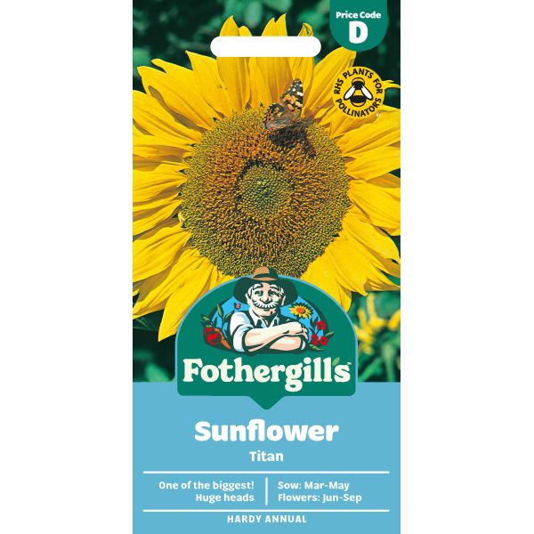 Mr Fothergills Sunflower Titan