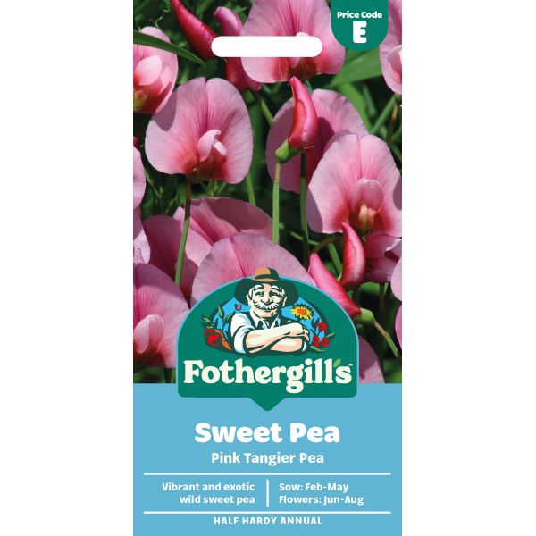 Mr Fothergills Sweet Pea Pink Tangier Pea
