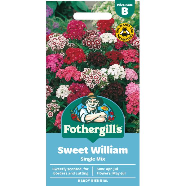 Mr Fothergills Sweet William Single Mix