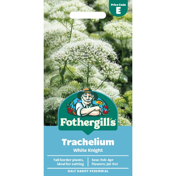 Mr Fothergills Trachelium White Knight