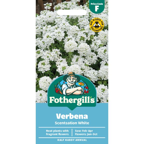 Mr Fothergills Verbena Scentsation White