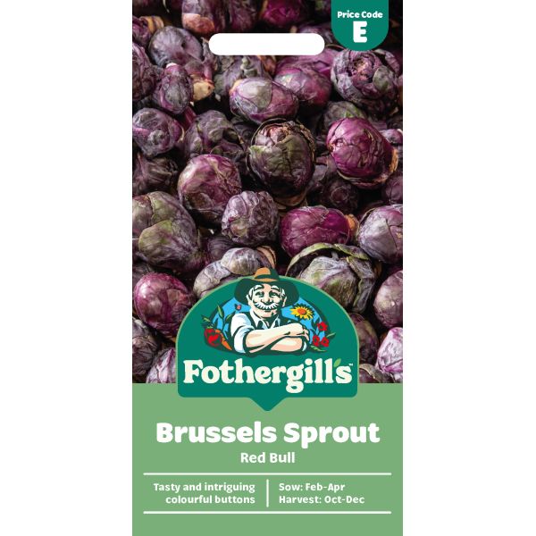Mr Fothergills Brussels Sprout Red Bull