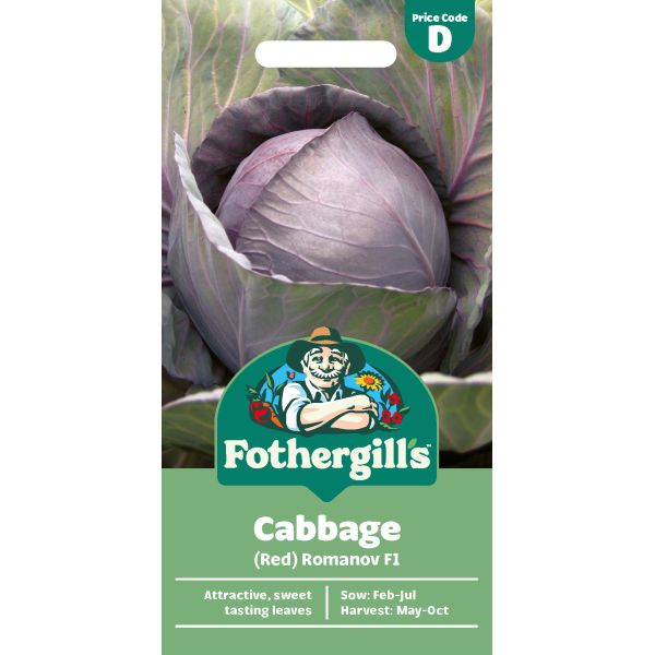Mr Fothergills Cabbage (Red) Romanov F1