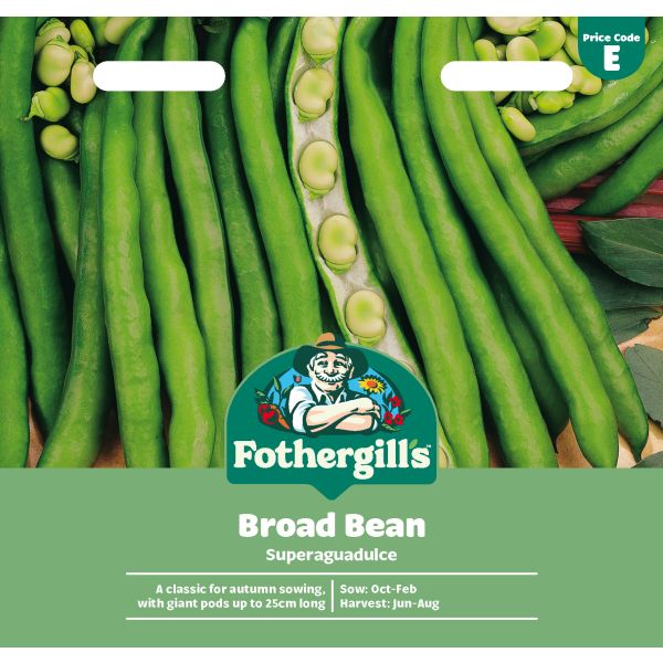 Mr Fothergills Broad Bean Superaguadulce