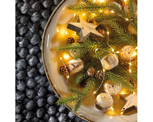 Lumineo Micro Wire String Lights