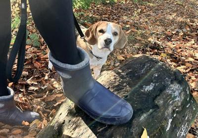 Leon Ultralight Ankle Ladies Boot Navy