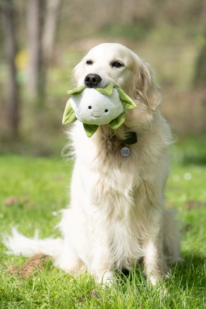 Petface Greenfingers Fluffy Callie Cauliflower Plush Dog Toy