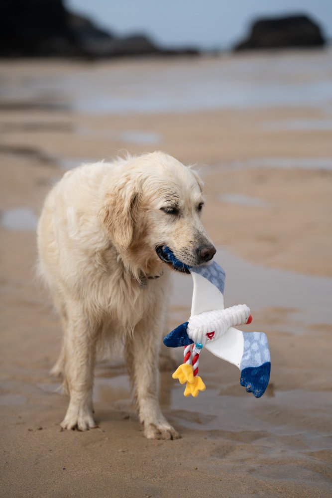 Petface Little Petface Sammi Seagull Plush Dog Toy