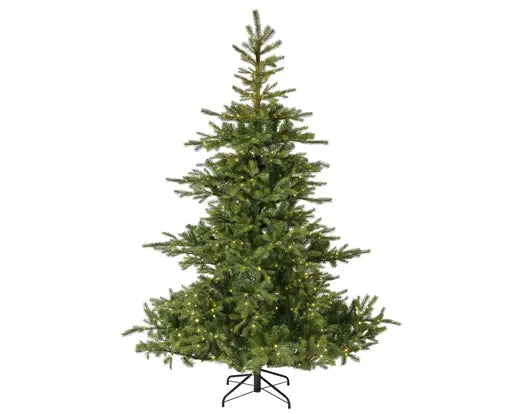 Everlands Lit Grandis Fir Green & Warm White