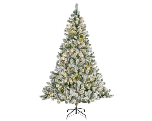 Everlands Lit Imperial Snowy Pine Green & White