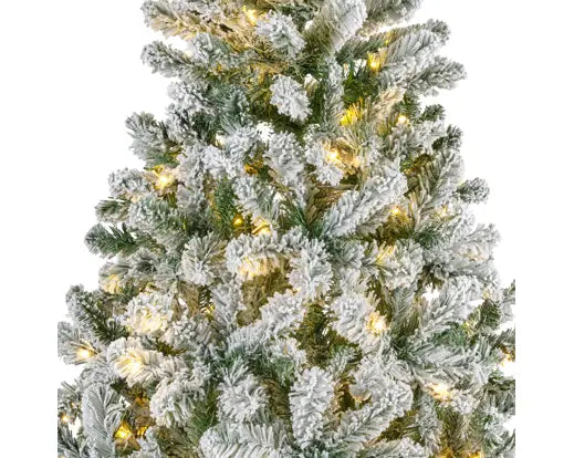 Everlands Lit Imperial Snowy Pine Green & White