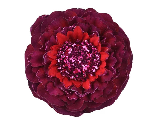 Everlands Flower Zinnia Polyester Glitter Edge Oxblood Single Assorted