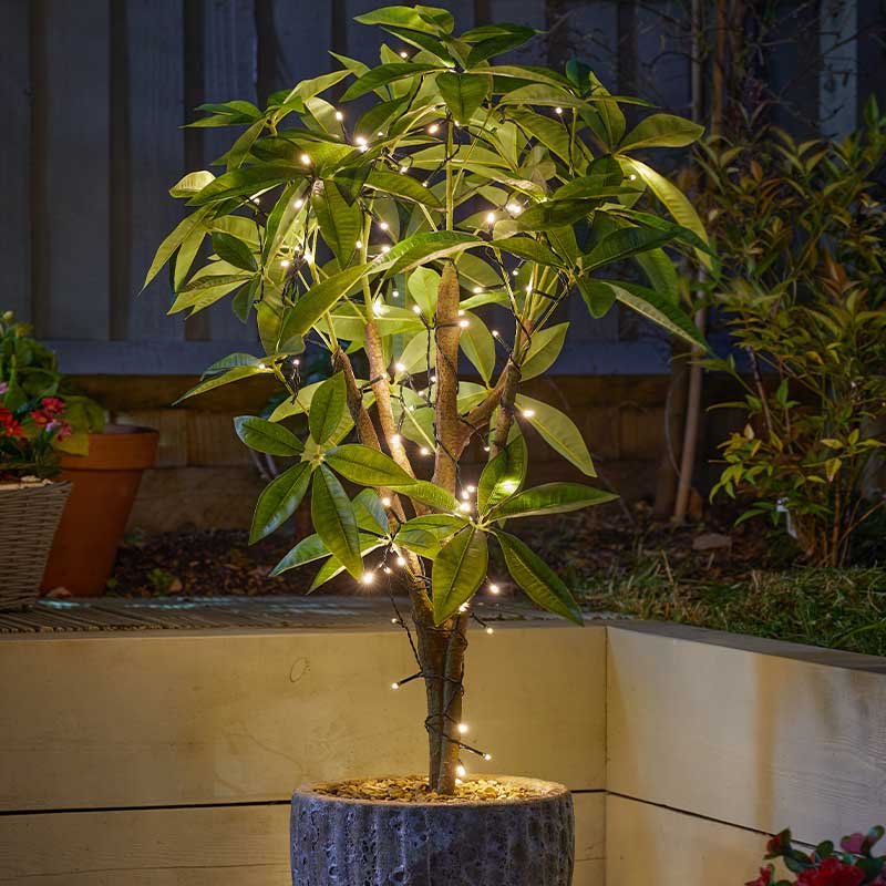 Smart Garden 50 Warm White LEDs String Lights