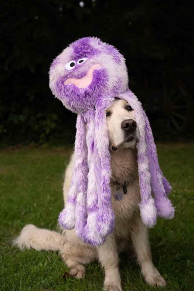 Petface Buddies Orla Octopus Plush Dog Toy Large