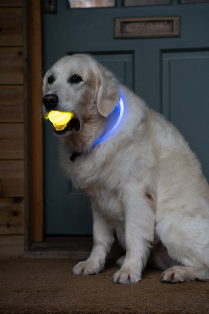 Petface Outdoor Paws Usb Rechargeable Glow In The Dark Ball Dog Toy