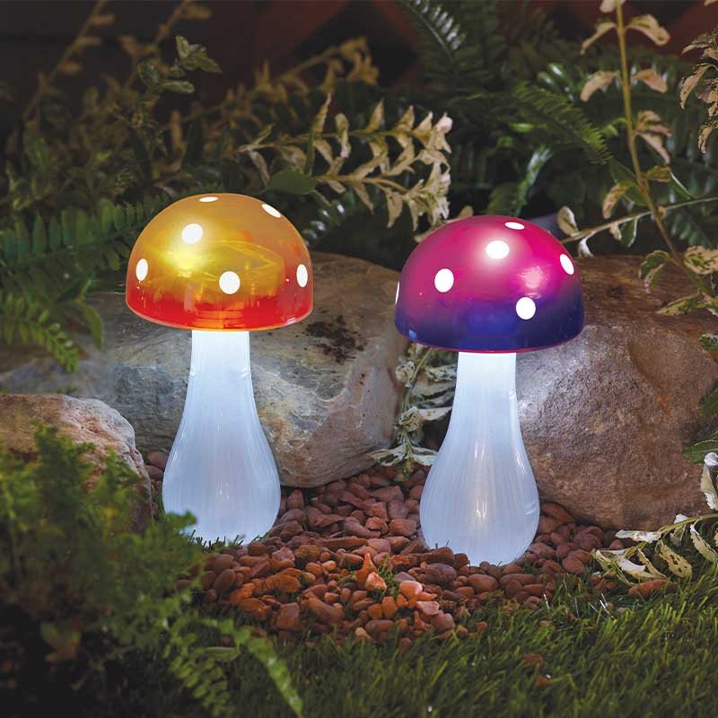 Smart Garden Button Shroom