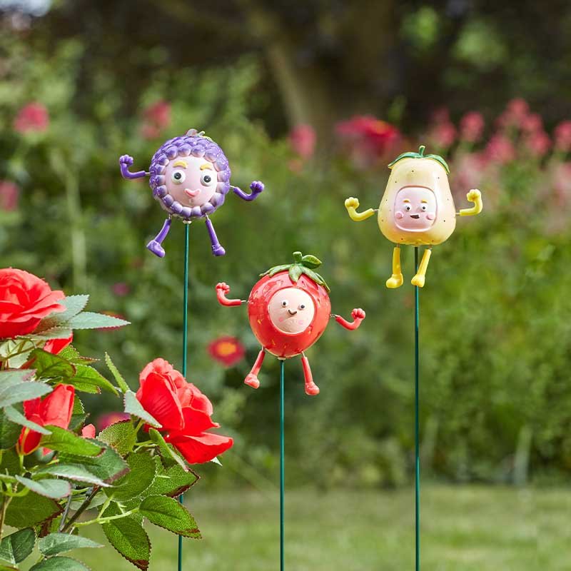 Smart Garden Frooties Loony Stakes Single