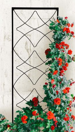 Panacea Graceful Trellis Black